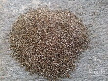 2018輪胎價格 報價 輪胎批發 第37頁 汽車用品網