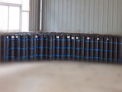 供應河南聚酯胎SBS廠家,樓頂專用防水卷材,河南SBS廠家-鄭州華為防水材料